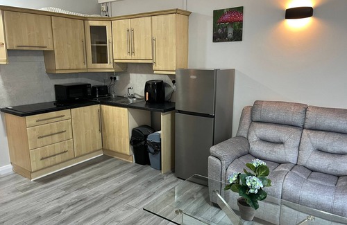 Cork Hotel | Shamrock Inn