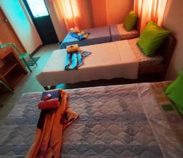Sagada Hotel | Discover Shamrock Tavern: Pet-Friendly Stay with Breakfast