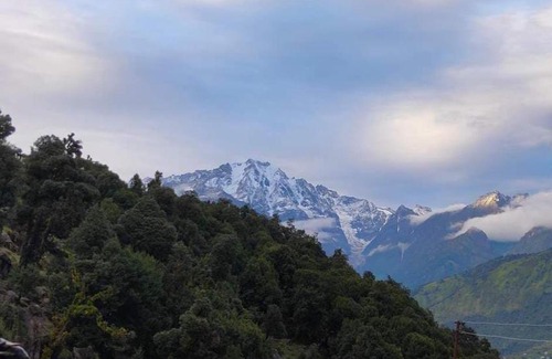Bageshwar House | Welcoming Shanti Homestay: Family & Pet-Friendly Retreat