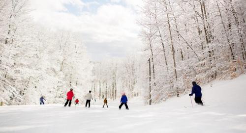 Bellaire Apartment | Shanty Creek Resort Bellaire Michigan