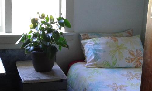 Te Akau House | Discover Our Cozy Home Farm Stay with Family-Friendly Amenities