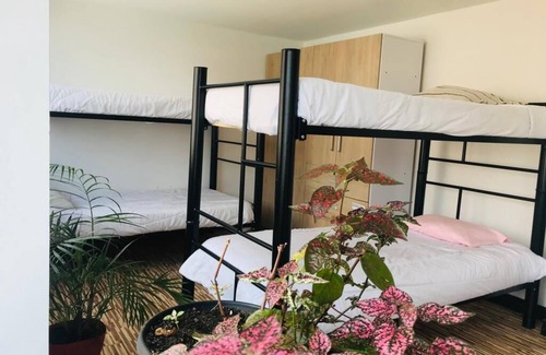 Chapinero Hotel | Shared room