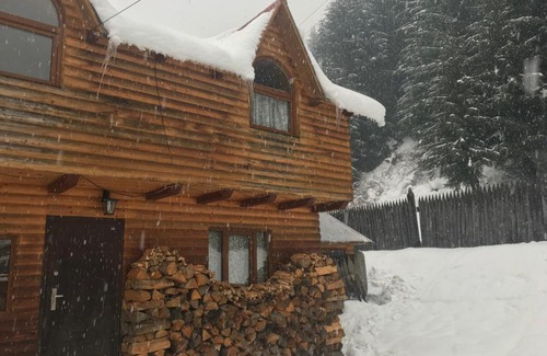 Ruska Mokra House | Unforgettable Stay at Shelest Vody: Pet Friendly & More