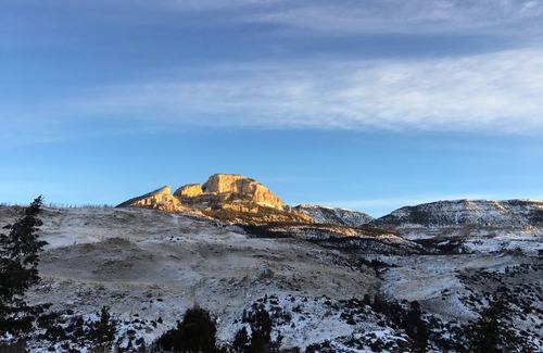 Shell Cabin | Pet-Friendly Shell Campground & Cabins with Breakfast Included