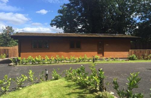 Congleton Cabin | Pet-Friendly Shellow Lane Lodges with Great Guest Ratings