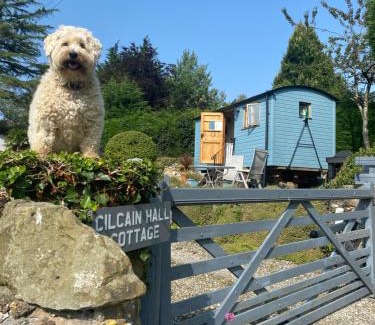 Cilcain House | Idyllic Shepherds Hut in the Hills - Near Mold, Child Friendly