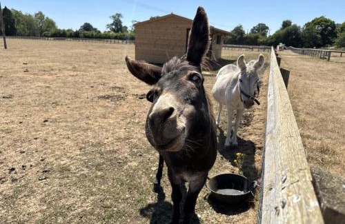 Lechlade House | Shepherds Rest Cotswolds Cottage Farm Stay With Pool