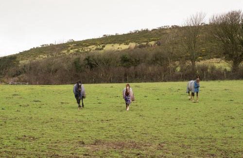 Llangranog House | Discover Shepherds Rest Llangrannog - Pet Friendly Retreat