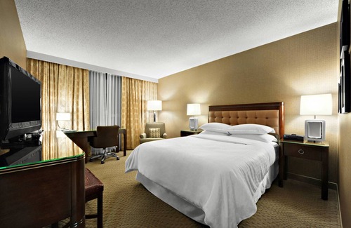 Saskatoon Downtown Hotel | Relax at Sheraton Cavalier Saskatoon Hotel with Top Amenities