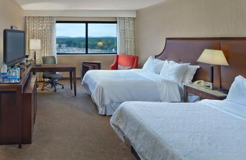 Windsor Locks Hotel | Pet-Friendly Sheraton Hartford Hotel Near Bradley Airport
