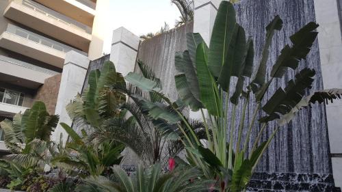 Heliopolis Apartment | Oceanfront Retreat at Sheraton Ocean 401 with Pool & Views