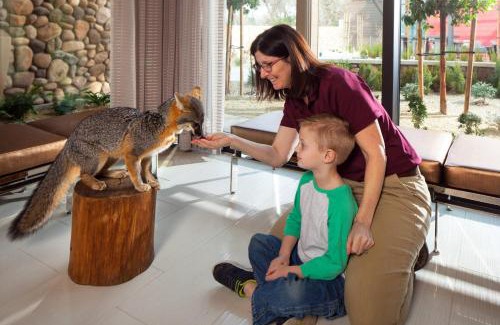 Redding Hotel | Discover the Sheraton Redding Hotel by Sundial Bridge