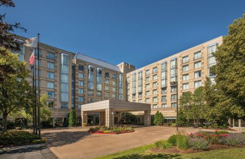 Elk Grove Village Hotel | Discover Sheraton Suites Chicago Elk Grove: Pet Friendly Stay