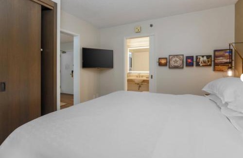 Dallas Design District Hotel | Relax at Sheraton Suites Market Center Dallas: Pet-Friendly Retreat