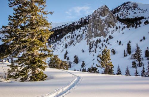 Mammoth Lakes Apartment | Relax at Sherwin Villas 39 with Pool and Hot Tub Access