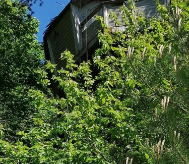 Etretat Bed & Breakfast | Experience Comfort at Sherwood Tree with Breakfast Included