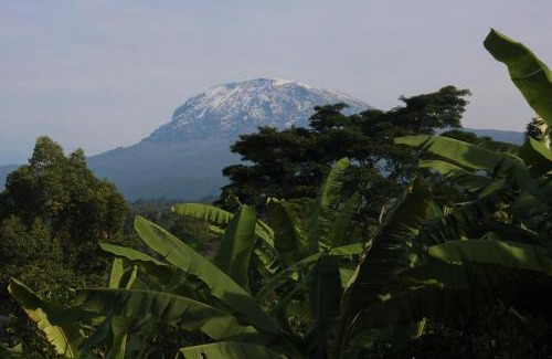 Kilimanjaro Region House | Pet-Friendly Shimbwe Meadows Guest House: Rated 9/10