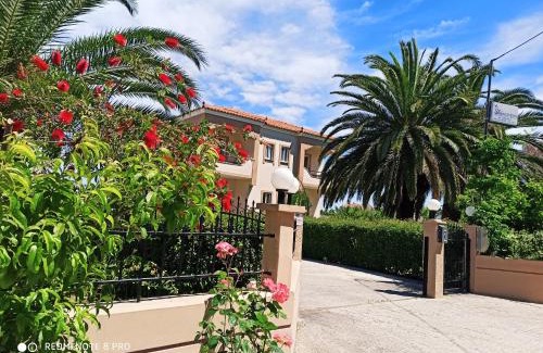 Skala Kallonis Apartment | Experience Shine Studios: Oceanfront & Pet-Friendly Retreat