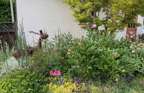 Corvallis Cottage | Exceptional ShiShi's Cottage - Steps from OSU with Breakfast