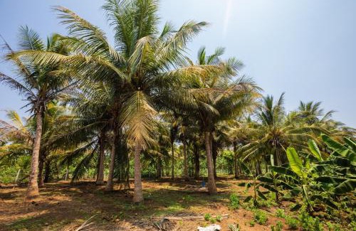 Kumbakonam Villa | Pet Friendly Shiv Sakthi Villa with Pool & Breakfast Awaits