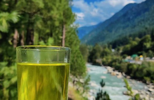 Kullu Bed & Breakfast | Pet-Friendly Retreat at Shoolin LaMalana with Breakfast