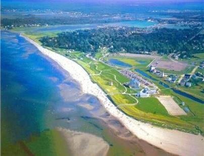 Shediac Hotel | Discover Shores Inn & Hotel: Pet-Friendly Ocean Retreat
