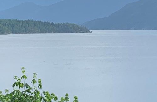 West Porpoise Bay House | Shoreside Private room