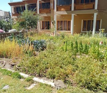 Leh House | Shumavilla