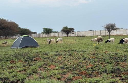Mahikeng Other | Shumba Camping Site