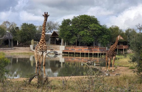 Thorny Bush Game Reserve Cabin | Experience Simbavati Waterside: 4-Star Oceanfront Bliss