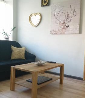 Siauliai City Center Apartment | Experience Siauliai Apartments - Ežero: Pet-Friendly Retreat