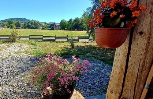 Ladek-Zdroj Apartment | Top-Rated Family Retreat at Siedlisko Czarny Kot