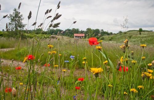 Gizycko House | Discover Siedlisko Upałty: Oceanfront Oasis with Top Ratings