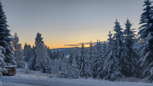 Hirschegg Ski Chalet | Discover Siedls Enzian: Family-Friendly with Perfect Reviews