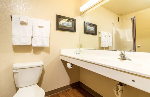 Ellendale Hotel | Discover Siegel Select Memphis: Eco-Friendly Family Retreat