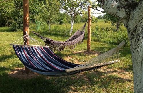 gmina Filipow House | Discover Sielanka na wzgórzu: Pet & Family Friendly Retreat