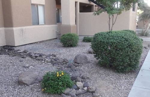 Apache Junction Condo | Discover Sierra Abode: Your Desert Escape Awaits