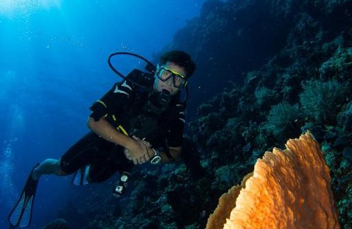 Batudaka Island Resort | Discover Sifa Diving Resort: Rated 9/10 with Oceanfront Bliss