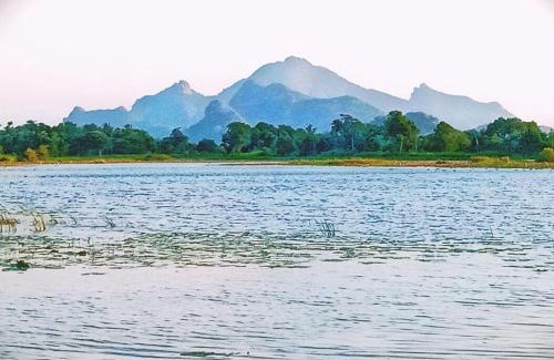 Dambulla Cabin | Pet Friendly Ebon Tree Lodge with Breakfast & Family Amenities