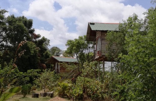 Sigiriya Resort | Budget-Friendly Family Retreat at Sigiri Forest View