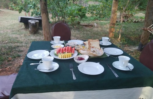 Sigiriya Resort | Budget-Friendly Family Retreat at Sigiri Forest View