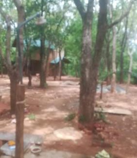 Kimbissa Hotel | Discover Sigiri Treehouse: Family-Friendly Retreat Awaits