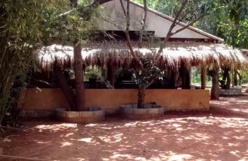 Kimbissa Hotel | Discover Sigiri Treehouse: Family-Friendly Retreat Awaits