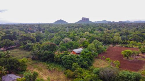 Sigiriya Hotel | Exceptional Sigiriya Cottage with Ocean View & Pool Access