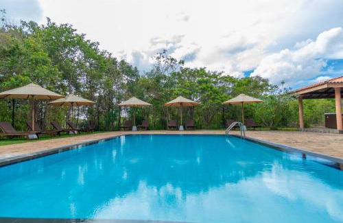 Dambulla Resort | Discover Sigiriya Forest Edge: 5-Star Oceanfront Retreat