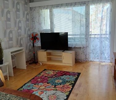 Lieksa Apartment | Bright and Inviting Triangular Apartment - Pet & Child Friendly