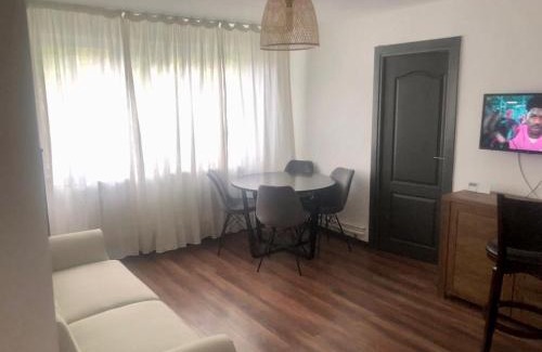 Craiova Apartment | Top-Rated Silene Studio: Pet-Friendly Stay for Families
