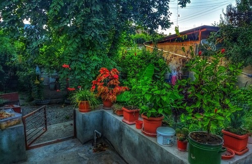 Azerbaijan House | Relaxing Stay at Silent House with Lake View and Breakfast