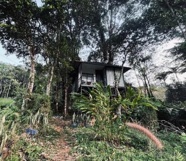Kulamavu House | Silent house