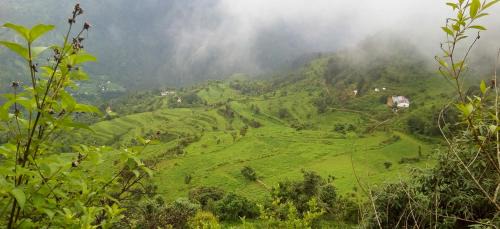 Kaul House | Tranquil Stay at Silent Valley- Alchauna Kumaoni House